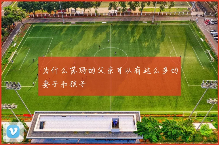 为什么苏玛的父亲可以有这么多的妻子和孩子