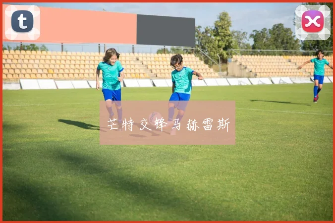 芒特交锋马赫雷斯