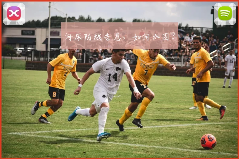 河床防线告急，如何加固？