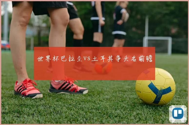 世界杯巴拉圭vs土耳其争头名前瞻