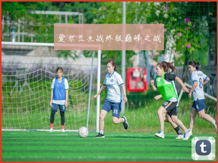 爱尔兰决战终极巅峰之战