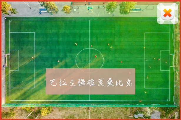 巴拉圭强碰莫桑比克
