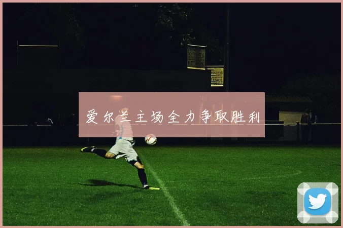 爱尔兰主场全力争取胜利