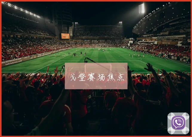 戈登赛场焦点