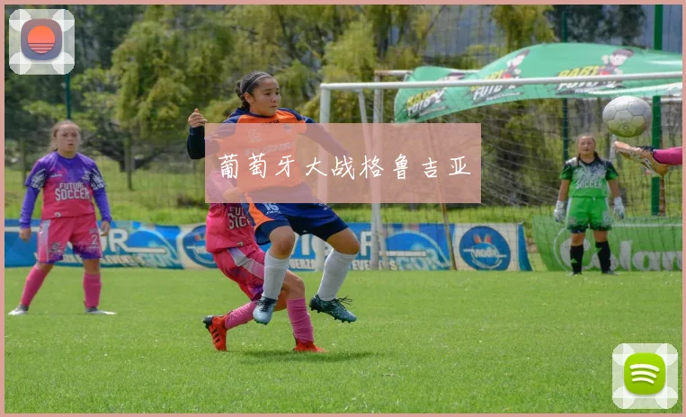 葡萄牙大战格鲁吉亚