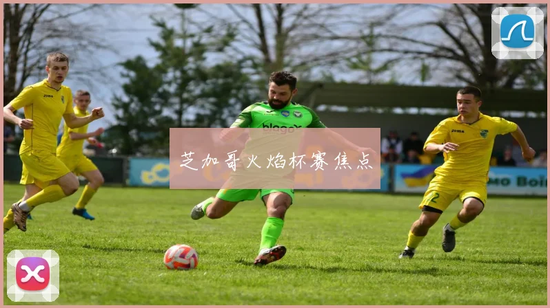 芝加哥火焰杯赛焦点