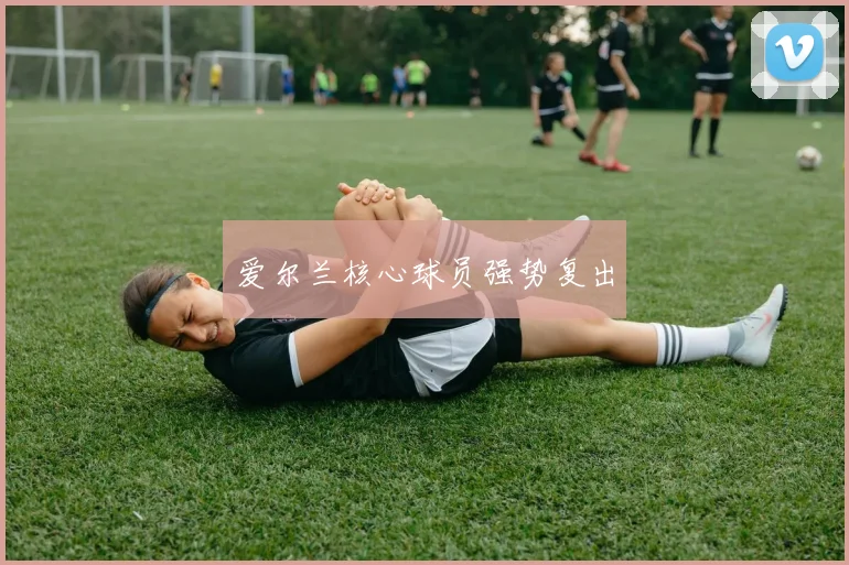 爱尔兰核心球员强势复出