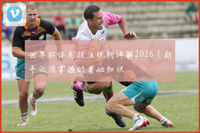 世界杯体彩投注规则详解2026｜新手必须掌握的基础知识