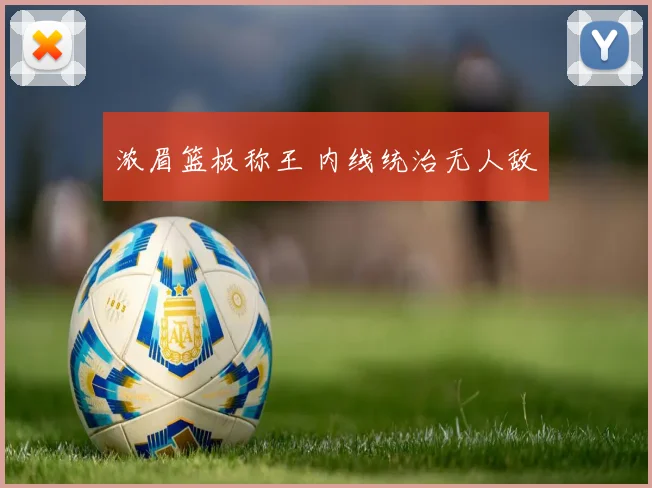浓眉篮板称王 内线统治无人敌
