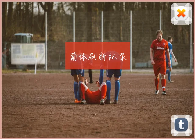 葡体刷新纪录