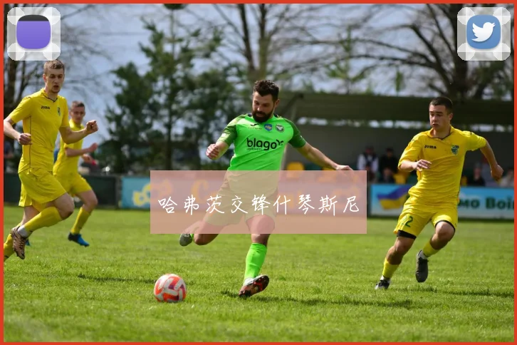 哈弗茨交锋什琴斯尼