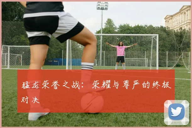 猛龙荣誉之战：荣耀与尊严的终极对决