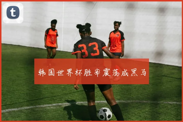 韩国世界杯胜率震荡成黑马