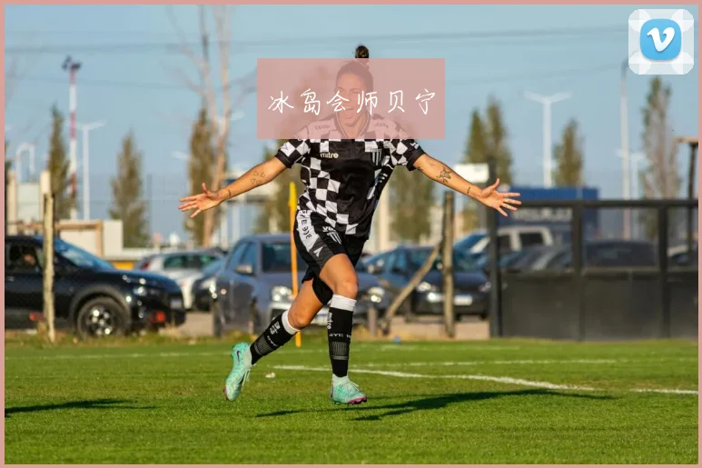 冰岛会师贝宁