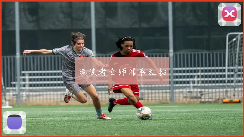 流浪者会师浦和红钻