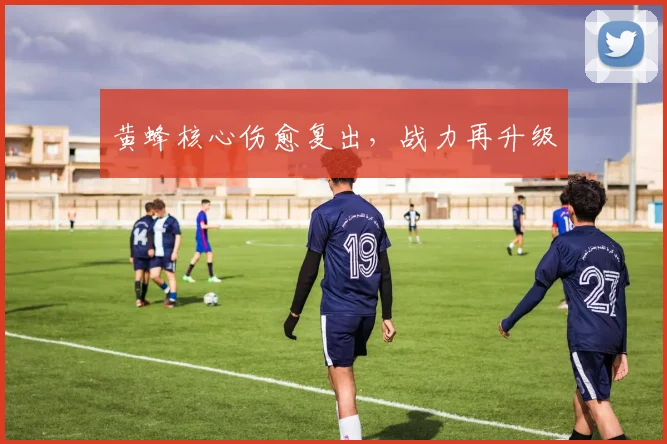 黄蜂核心伤愈复出，战力再升级