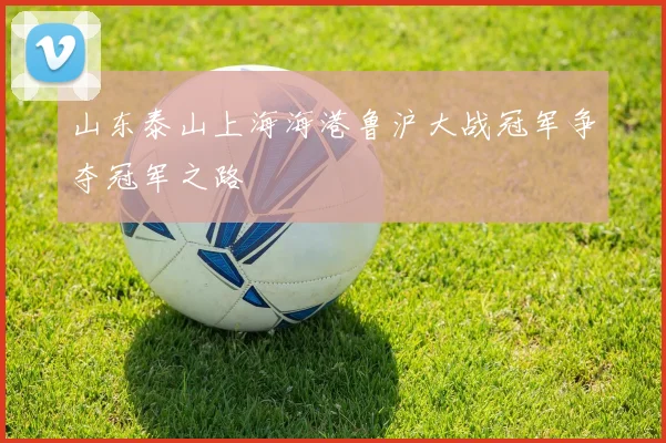 山东泰山上海海港鲁沪大战冠军争夺冠军之路
