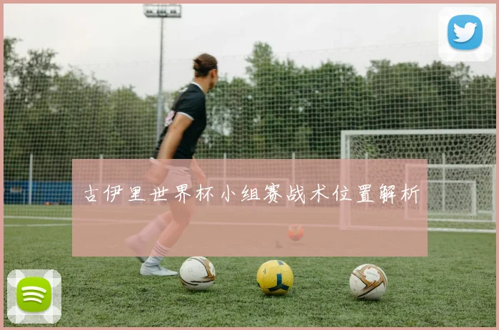 古伊里世界杯小组赛战术位置解析