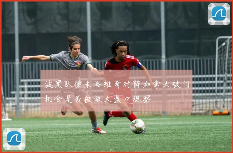 波黑队德米洛维奇对阵加拿大破门机会是否被放大盘口观察