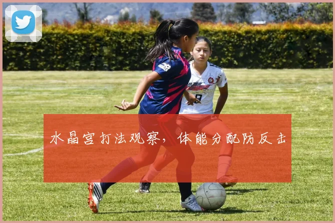 水晶宫打法观察，体能分配防反击