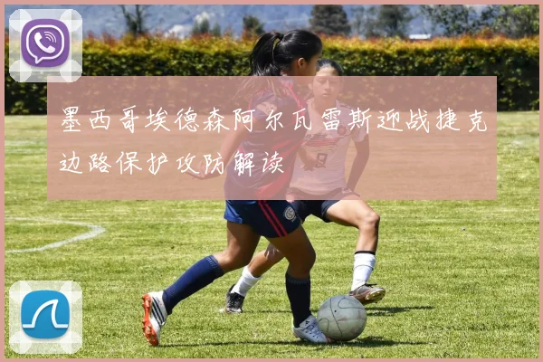 墨西哥埃德森阿尔瓦雷斯迎战捷克边路保护攻防解读