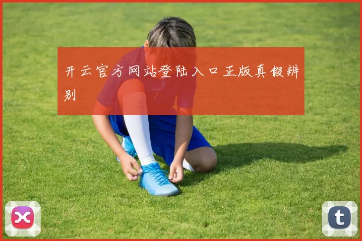 开云官方网站登陆入口正版真假辨别